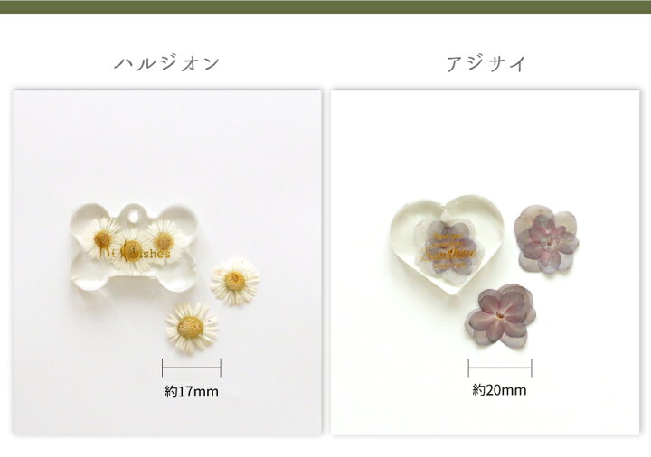 楽天市場】レジン ボタニカルチャームキット B 子供 クラフトキット 