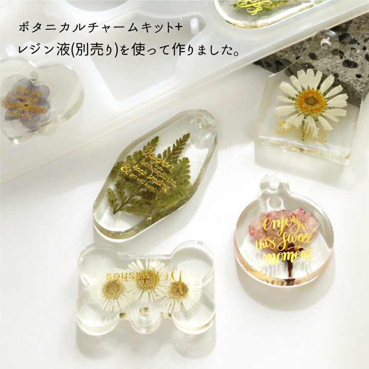楽天市場 レジン ボタニカルチャームキット B 押し花 タグ型 メール便対応 シリコンモールド キーホルダーチャーム 初心者 ナチュラル ドライフラワー タカラネイル Takaranail