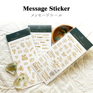 bZ[WV[ Wp pbZ[W t  S[hy[֑ΉzV[g