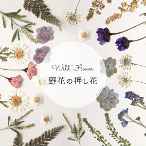 y10OFFN[|zzz hCt[ 쑐 W i` {^jJ y[֑Ήz S18