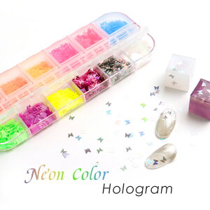 lIJ[ zO 12Zbg p`P[X y[֑ΉzLfB[J[   n[g lC W