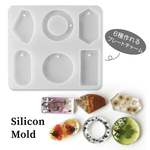 VR[h v[g`[ 6 ^O^ v[g^ y_ggbv L[z_[`[y[֑ΉzUVWNtg VR[h nhCh@W 