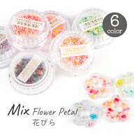 【30％OFFクーポン配布中】ドライフラワー 花びら 花弁 6種 クラッシュフラワー フラワーパウダー【メー…