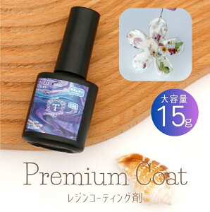 【10%OFFクーポン配布中】レジン コーティング液 A 15g プレミアム コート 刷毛付きボトル 大容量 レジン液トップコート 艶だし 修復 【メール便対応】レジン 仕上げ 保護 透明