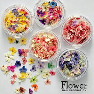 ドライフラワー ネイルアート ミニフラワー 押し花パーツ 5種類 アソートセット 【メール便対応】ネイル…