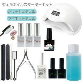 【10％OFFクーポン配布中】マグネットジェル スターターキット ジェルネイルキット ポリッシュタイプ 刷毛付きボトル 【宅配便送料無料】カラージェル セルフネイル ジェルネイル ボトルタイプ
