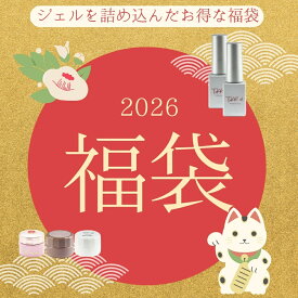 【2026福袋】ジェルネイル ハッピーバッグ【メール便対応】ジェルが入った福袋 3種から選べる マグネットジェル カラージェル