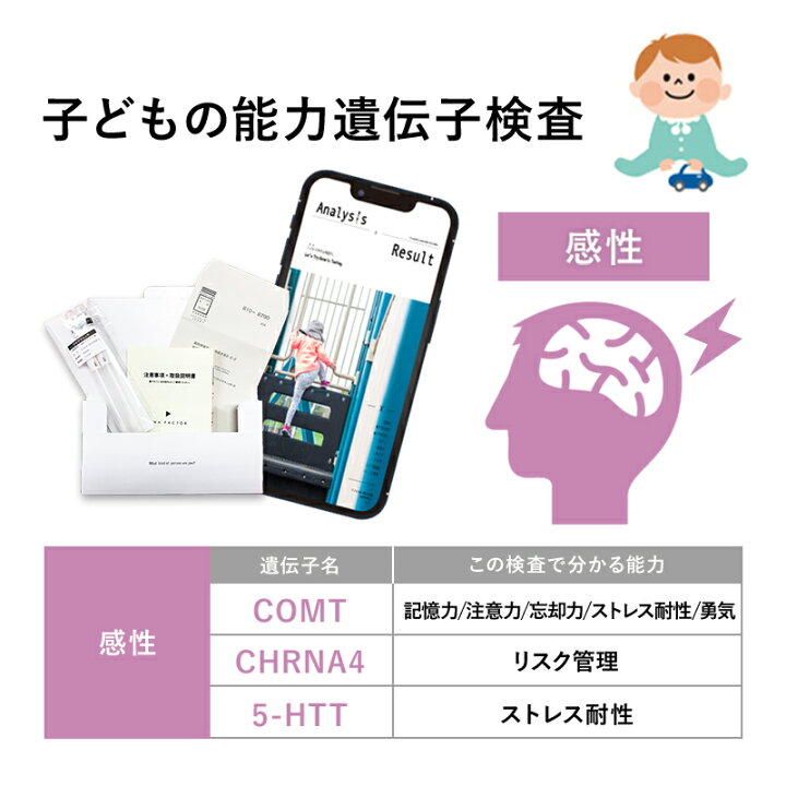 楽天市場】GENETIST 子どもの能力遺伝子検査 X-Type｜DNA FACTOR 