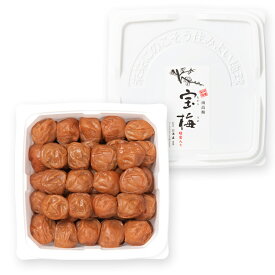 梅干し 南高梅 はちみつ入り 宝梅 ご自宅用お買い得商品 1kg ［ エコパック ］ ES-55 完熟南高梅 紀州　ギフト包装・のし紙（掛紙）：対応不可