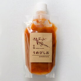 梅干し 南高梅 練り梅 宝梅【梅びしお】150g スタンドパック 紀州南高梅