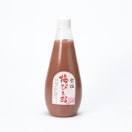 梅干し 南高梅 練り梅 宝梅【梅びしお】580g チューブ入 紀州南高梅