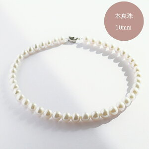 p[ lbNX  10mm {^ tH[} ^lbNX 嗱p[  i JWA R[f AM[Ή p[eB[  񎟉 Ă΂ ƎQ ItBX 