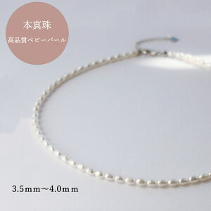 p[ lbNX JWAyW^ Xzxr[p[ lbNX {^ R[f v`v d˕t tH[} xr[p[lbNX CXp[ Wp[ p[eB[ 