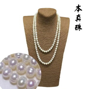 p[ lbNX 2A AyW^ XzOp[lbNX JWA Wp[ lbNX p[lbNX  w Ǝ   JWA tH[}