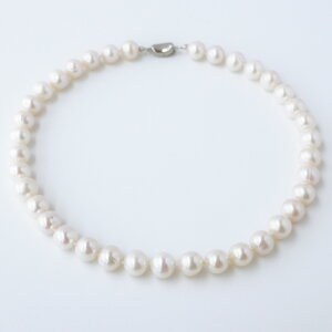 p[ lbNX Ԃ 10-12.5mm {^ yW^ Xz   p[lbNX  l ^lbNX 11mm 12mm tH[} JWA Wp[ lbNX 