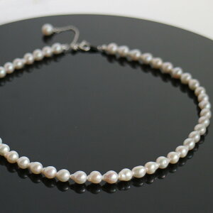 Wp[lbNXyWp[ XzobNp[ lbNX Ǝ w {^ p[ JWA obNp[lbNX AM[Ή hbv d˕t 