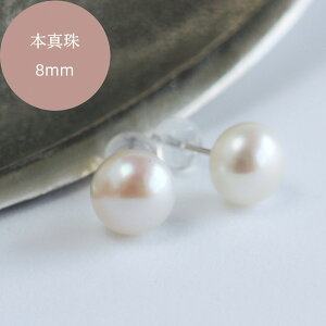 p[ sAX ^ 8mmyW^ Xzp[sAX AM[Ή Vo[  {^ Wp[ sAX AM[ ig ꗱ sAX t@XgsAX ^sAX 