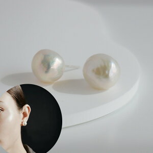 p[ sAX obNp[ sAX JWA Wp[ sAX Vo[ AM[Ή Ԃ ꗱ i ig obN Wp[ {^ 12mm 13mm ^ sAX ꗱ Wp