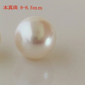 yWp[ XzWp[ p[c [X 8-8.5mm Z~Eh {^ p[p[c 8mm ۋ Ќ nhCh DIY| f ANZT[  ≮