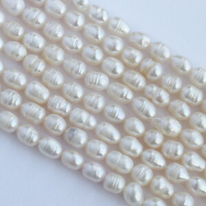 yWp[ XzWp[ p[c 35cm Wp[ r[Y T[Np[  CXp[ A r[Y obNp[ p[r[Y Wp[p[c ^ p[c nh