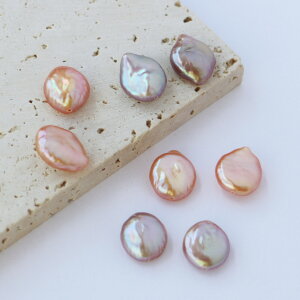 yWp[ XzWp[ p[c obN i 2Zbg 1000~|bL  嗱 Wp[p[c r[Y obNp[ p[c p[r[Y Wp[p[c ^ 嗱