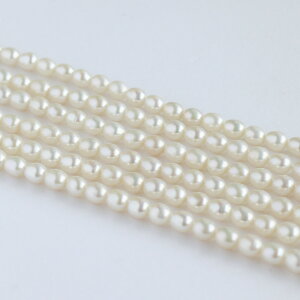 yWp[ XzWp[ p[c  5mm A Wp[ r[Y p[ p[c p[r[Y Wp[p[c xr[p[ ^ nhCh DIY | f   ≮ A