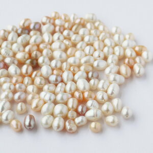 Wp[ p[c 55gWp[ r[Y ~bNX ^ Zbg  r[Y p[ p[r[Y Wp[p[c 嗱p[c nhCh DIY | f   ≮ ANZT