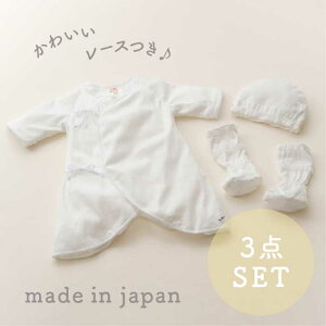 [X`[tt tan*com 3_Zbg [ xr[ Ԃ j̎q ̎q  Xq u[eB 50cm`60cm  킢 i` Vv Mtg v[g 蕨 j V Z