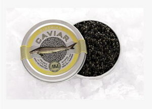 y①ցz AKI AL VA VxA LrA hCcY 20g rliܖF2026.01.31j