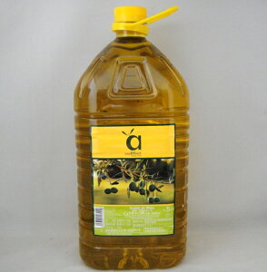 JTAo[g sAI[uICy5LzXyCY ƖpiܖF2026.12.16j