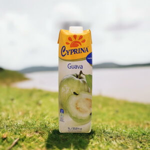 Lv[i O@olN^[ 1L LvXY OAoW[X ʏ`25%