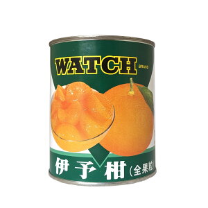 EHb` ɗ\ 悩 2 850g {YiܖF2026.02.25j