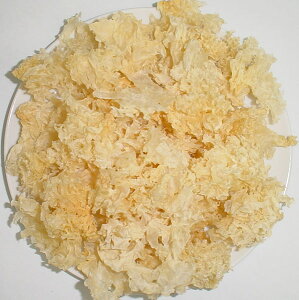 炰 500g YiܖF2026.05.30j⎨ ؎ LNQ 