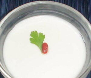 ELHi A[hpE_[ ǐm pY 400giܖF2026.02.26)