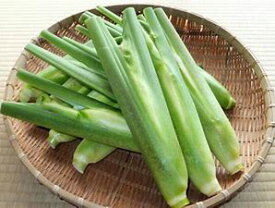 【冷蔵便】生マコモダケ まこも茸 真菰筍（10〜12本）1kg まこもたけ