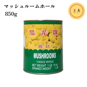 zv }bV[z[iLTCYj850g 2 ʋl YiܖF2026.01.01j