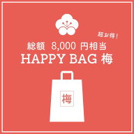 【タカラッシュ公式店】数量限定福袋！HAPPY BAG 梅（謎解き）キット ゲーム 宝探しshop【売れ筋】