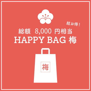 y^JbVXzʌ蕟܁IHAPPY BAG ~ijLbg Q[ Tshopy؁z
