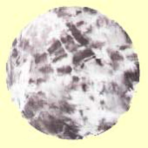 炳 MX vg p Pi fB[X MX 10 ėp pc X|[c O K seBX zbgK _CrO SAP  j C K EGA g[jO tB