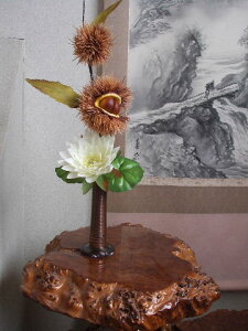 ԐpԗiԕrjEȁi܁jt[x[X Jr ԗ u v[g  hCt[ LOi     S@S 6NNyRCPz