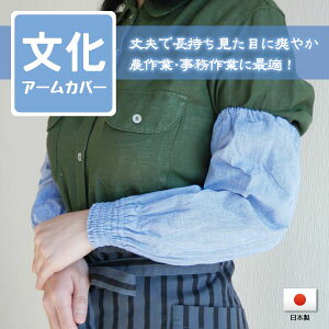 y{zA[Jo[_ƁEK[fjOEƒ؉