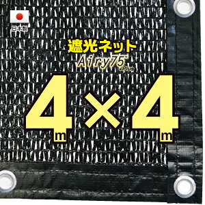 ng50cmԊuyHYnz@Ռlbg@@4mx4m@@@iՌ@75jlbg@O΍@ߓdObY