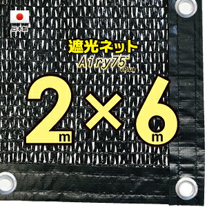 ng50cmԊuyHYnz@Ռlbg@@2mx6m@@@iՌ@75jlbg@O΍@ߓdObY