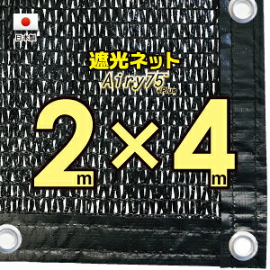 ng50cmԊuyHYnz@Ռlbg@@2mx4m@@@iՌ@75jlbg@O΍@ߓdObY