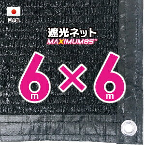 yHzՌlbg@6mx6miՌ@95j1MԊungt@lbg@O΍@ߓdObY