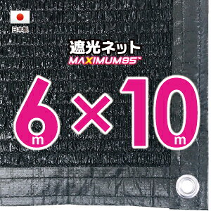 yHzՌlbg@6mx10miՌ@95j1MԊungt@lbg@O΍@ߓdObY