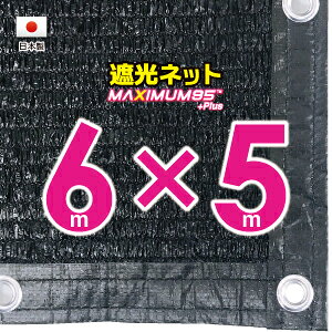 50cmngԊuH@Ռlbg@6mx5m@@@@iՌ@95jVF[h@lbg@O΍@ߓdObY