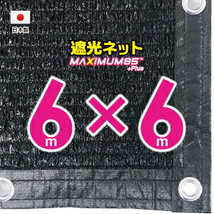 50cmngԊuH@Ռlbg@6mx6m@@@@iՌ@95jVF[h@lbg@O΍@ߓdObY