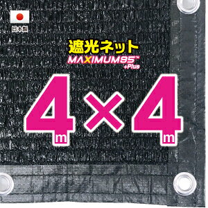 50cmngԊuH@Ռlbg@4mx4m@@@@iՌ@95jVF[h@lbg@O΍@ߓdObY