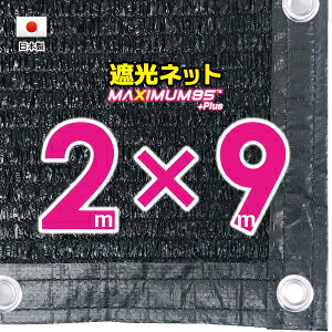 50cmngԊuH@Ռlbg@2mx9m@@@@iՌ@95jlbg@VF[h@O΍@ߓdObY